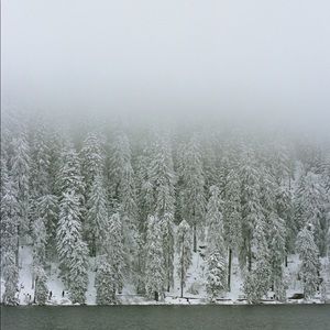 Meet your Posher, Danika